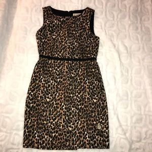 Animal pattern (leopard, cheetah? I dunno lol)